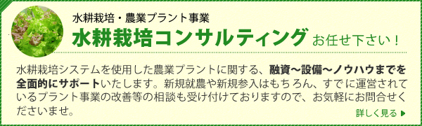 水耕栽培コンサルティング 水耕栽培コンサルティング