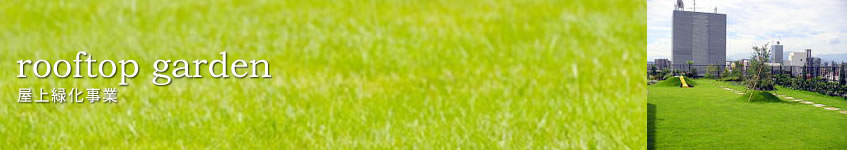 屋上緑化