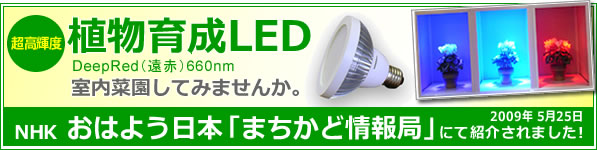 超高輝度植物育成LED