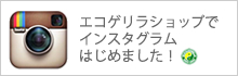エコゲリラのインスタグラム