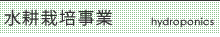 水耕栽培事業