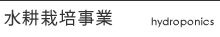 水耕栽培事業