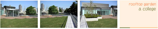 屋上緑化施工例-大学校舎
