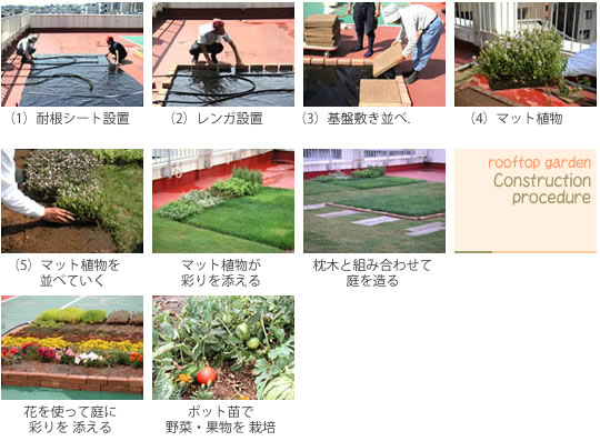 マット植物 マット植物