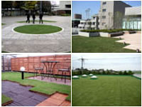 屋上緑化施工例