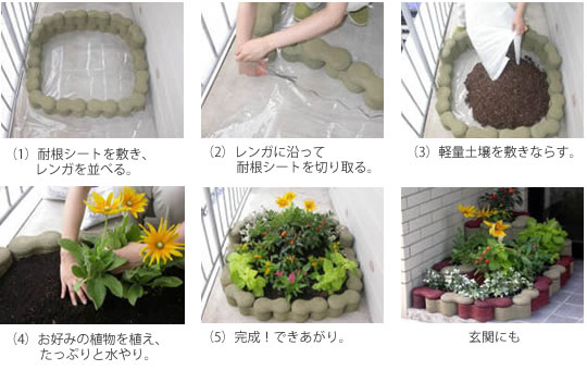 屋上菜園-野菜作り